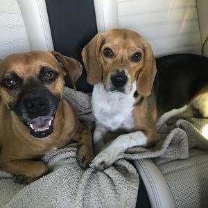 Meet your Posher, Mary